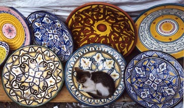 cat plate